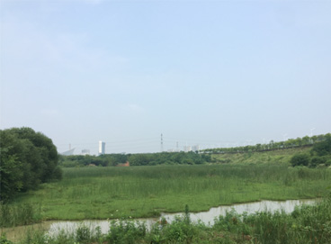 U8集团(国际)官方网站-传递U8火炬,照亮将来之路
