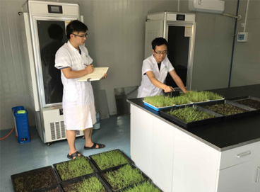 U8集团(国际)官方网站-传递U8火炬,照亮将来之路