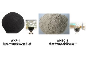 U8集团(国际)官方网站-传递U8火炬,照亮将来之路
