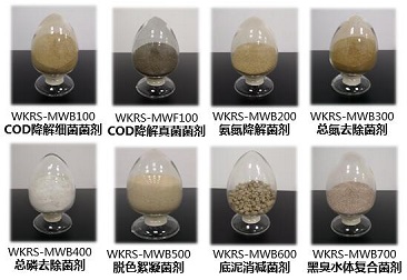 U8集团(国际)官方网站-传递U8火炬,照亮将来之路