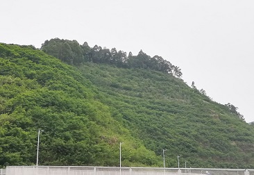 U8集团(国际)官方网站-传递U8火炬,照亮将来之路